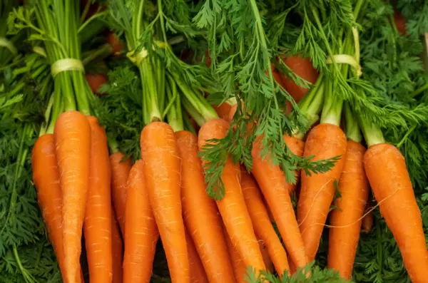 cà rốt là thực phẩm tốt cho mắt cận thị