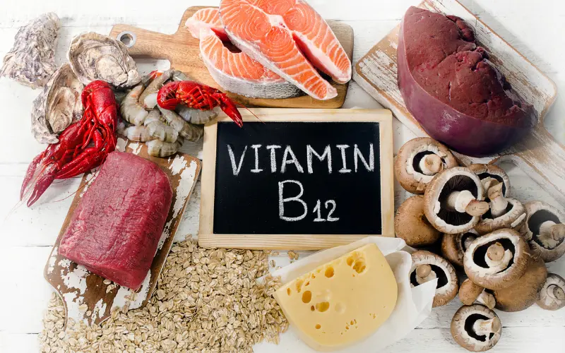thiếu chất vitamin b12