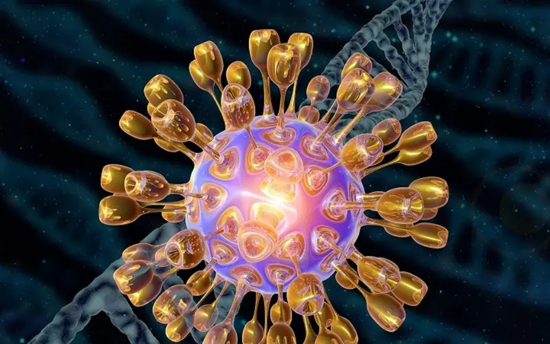 virus herpes