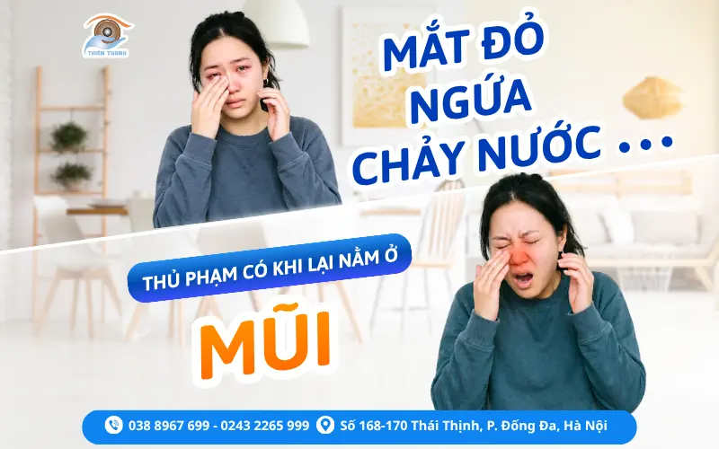 MẮT ĐỎ, NGỨA, CHẢY NƯỚC… THỦ PHẠM CÓ KHI LẠI NẰM Ở MŨI!  